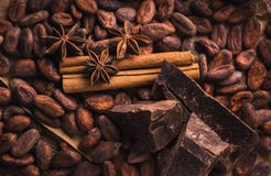 Raw cocoa beans, delicious black chocolate, cinnamon sticks, sta stock image Raw cocoa beans, delicious black chocolate, cinnamon sticks, sta stock image