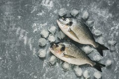 Raw dorado fish on a gray background with ice cubes. Top view, flat lay, copy space stock photo Raw dorado fish on a gray background with ice cubes. Top view, flat lay, copy space stock photo
