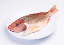 Raw Fish Royalty Free Stock Photo