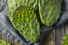 Raw Green Organic Cactus Leaf Fruit Stock Photos Raw Green Organic Cactus Leaf Fruit Stock Photos