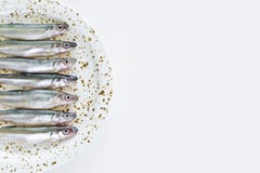 Raw mackerel on a plate. White background, top view, space for text. stock photography Raw mackerel on a plate. White background, top view, space for text. stock photography