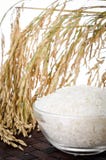 Raw rice, Selection Of Rices stock images Raw rice, Selection Of Rices stock images