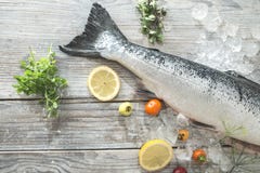 Raw salmon fish in ice and vegetables royalty free stock photos Raw salmon fish in ice and vegetables royalty free stock photos