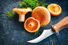 Raw Wild Saffron Milk Cap Mushrooms On Dark Old Rustic Background. Lactarius Deliciosus. Rovellons, Niscalos. Organic Mushrooms Royalty Free Stock Photos Raw Wild Saffron Milk Cap Mushrooms On Dark Old Rustic Background. Lactarius Deliciosus. Rovellons, Niscalos. Organic Mushrooms Royalty Free Stock Photos