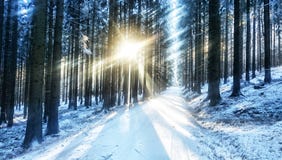 Ray of light royalty free stock images Ray of light royalty free stock images