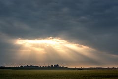 Rays Of Light Penetrate Through Thick Clouds During The Ascension Of The Sun. Landscape: Field And Dramatic Dark Sky During The S Stock Image