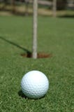 Ready To Putt Royalty Free Stock Images