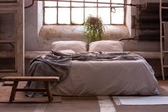 Wabi sabi bedroom interior with a bed, plant and wooden stool in front royalty free stock image Wabi sabi bedroom interior with a bed, plant and wooden stool in front royalty free stock image