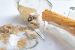 Real Pirate Broken Message in a Bottle , focused unside the bottle on Sand and Shells. Broken message in bottle over white background, Message vellum coming out stock images Real Pirate Broken Message in a Bottle , focused unside the bottle on Sand and Shells. Broken message in bottle over white background, Message vellum coming out stock images