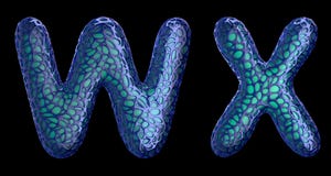 Realistic 3D letters set W, X made of blue plastic. vector illustration Realistic 3D letters set W, X made of blue plastic. vector illustration