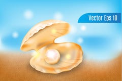 Realistic 3d vector pearls in the shells on beach background royalty free illustration Realistic 3d vector pearls in the shells on beach background royalty free illustration