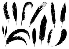 Realistic detailed feathers set, hand drawn vector illustration, black ink graphic isolated on white . Art decorative vector illustration Realistic detailed feathers set, hand drawn vector illustration, black ink graphic isolated on white . Art decorative vector illustration