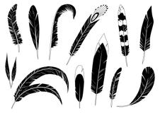 Realistic detailed feathers set, hand drawn vector illustration, black ink graphic isolated on white . Art decorative royalty free illustration Realistic detailed feathers set, hand drawn vector illustration, black ink graphic isolated on white . Art decorative royalty free illustration