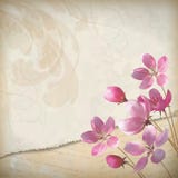 Realistic floral vector spring background