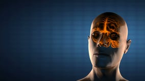 Realistic human brain radiography scan