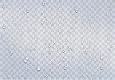 Realistic rain drops on the transparent background. royalty free illustration Realistic rain drops on the transparent background. royalty free illustration