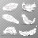 Realistic white feathers. Birds plumage, falling fluffy twirled feather, flying angel wings feathers. Realistic isolated