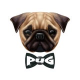 Realistisch Pug Hondportret stock illustratie Realistisch Pug Hondportret stock illustratie