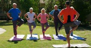 Rear view of Caucasian male trainer training senior people in performing yoga at the garden of n 4k stock video footage Rear view of Caucasian male trainer training senior people in performing yoga at the garden of n 4k stock video footage