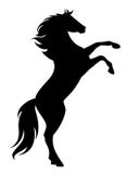 Rearing up black mustang horse vector silhouette