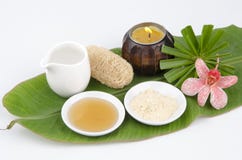 Recette de masque protecteur avec Tanaka, miel, l'eau. Station thermale faciale. photographie stock Recette de masque protecteur avec Tanaka, miel, l'eau. Station thermale faciale. photographie stock