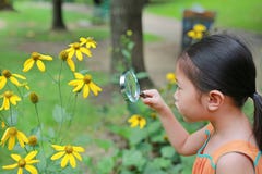 Recht wenig asiatisches Kindermädchen mit Lupenblicken auf Blume im Sommerpark stockbilder Recht wenig asiatisches Kindermädchen mit Lupenblicken auf Blume im Sommerpark stockbilder