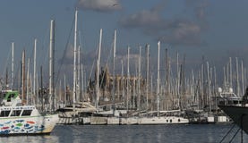 Recretional watercrafts and yachts in palma de mallorca port with cathedral in last term