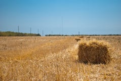 Rectangular haystacks on a field of straw, on a sunny summer day, against a background of sky and trees royalty free stock photography Rectangular haystacks on a field of straw, on a sunny summer day, against a background of sky and trees royalty free stock photography