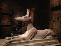Recumbent статуя Anubis в столичном музее изобразительных искусств стоковое изображение rf Recumbent статуя Anubis в столичном музее изобразительных искусств стоковое изображение rf