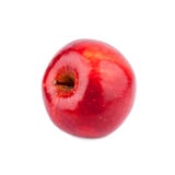 Red apple back view on white background isolated close up macro stock photography Red apple back view on white background isolated close up macro stock photography