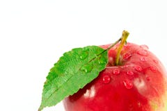 Red Apple With Water Drops Stock Photography