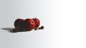 Red apples with cinnamon lie on a white background stock photography Red apples with cinnamon lie on a white background stock photography