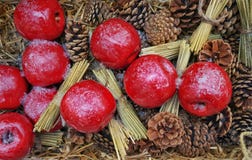 Red apples on straw and cones royalty free stock image Red apples on straw and cones royalty free stock image