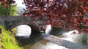 Red autumn tree overhangs an old stone bridge stock photo Red autumn tree overhangs an old stone bridge stock photo