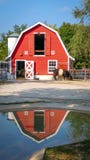 Red Barn Reflected in Rain Puddle