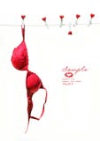 Red Brassiere Hanging On Clothesline Stock Photo
