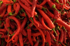 Red Chili Pepper Stock Images