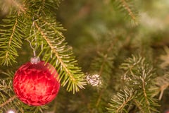 Red Christmas bauble hanging from the branch of a Christmas tree stock photos Red Christmas bauble hanging from the branch of a Christmas tree stock photos