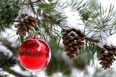 Red Christmas decoration on snow-covered pine tree outdoors