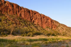 Red Cliffs, Trees And Reeds, Glen Helen Gorge, Stock Photography