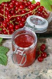 Red currant jelly in preserving glass Royalty Free Stock Photography Red currant jelly in preserving glass Royalty Free Stock Photography