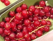 Red currants in a box stock photography Red currants in a box stock photography