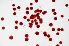 red drops of human blood on a white background. Stock Images red drops of human blood on a white background. Stock Images