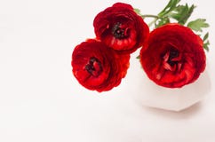 Red flowers in ceramics vase closeup on white wood board. Spring floral background with copy space. stock images Red flowers in ceramics vase closeup on white wood board. Spring floral background with copy space. stock images