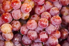 Red Grapes. Royalty Free Stock Photos