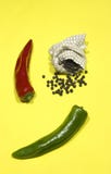 red and green pepper royalty free stock photo red and green pepper royalty free stock photo