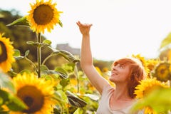 Red-haired Girl Is Standing Next To A Tall Sunflower, A Woman Measures The Height Of A Sunflower, Her Hand Is Lifted Up Royalty Free Stock Photography