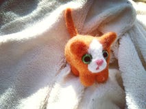 Red-haired kitten stock images Red-haired kitten stock images