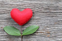 Red Heart Placed On A Old Wooden Table In Connect With Branches Stock Photos Red Heart Placed On A Old Wooden Table In Connect With Branches Stock Photos