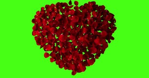 Red heart of rose petals flying with vortex on chroma key, green screen background. Love and valentine day concept Red heart of rose petals flying with vortex on chroma key, green screen background. Love and valentine day concept